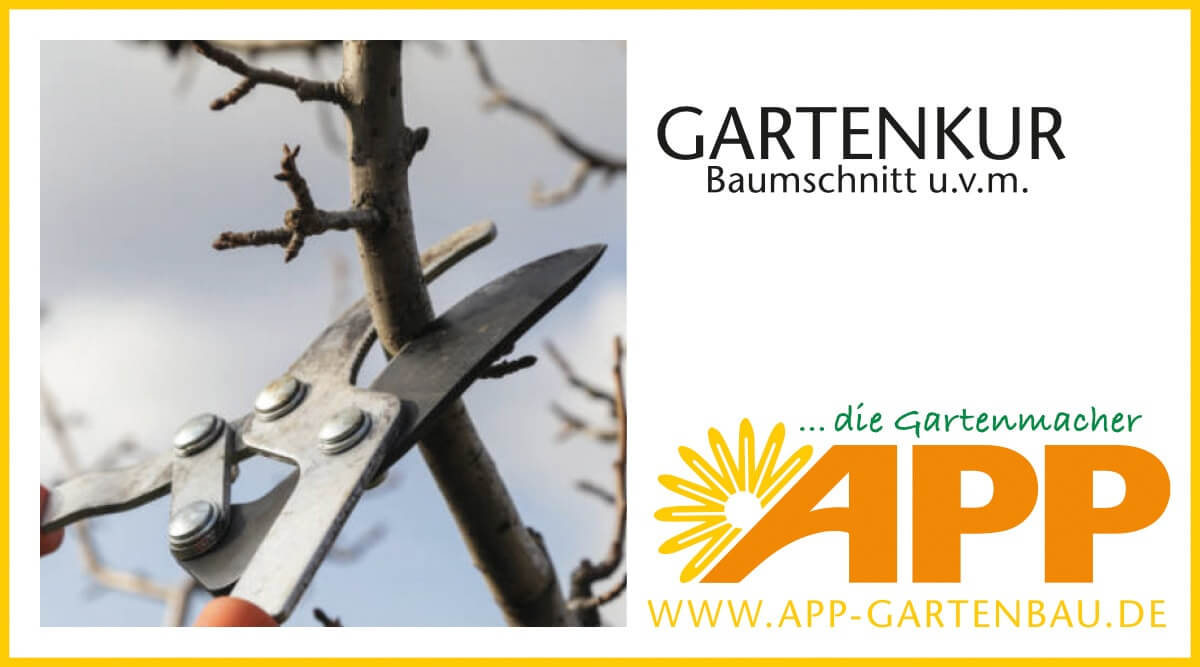 2019-02-22-unsere-gartenkur-baumschnitt-straeucherschnitt-und-baumfaellarbeiten-in-ihrem-garten